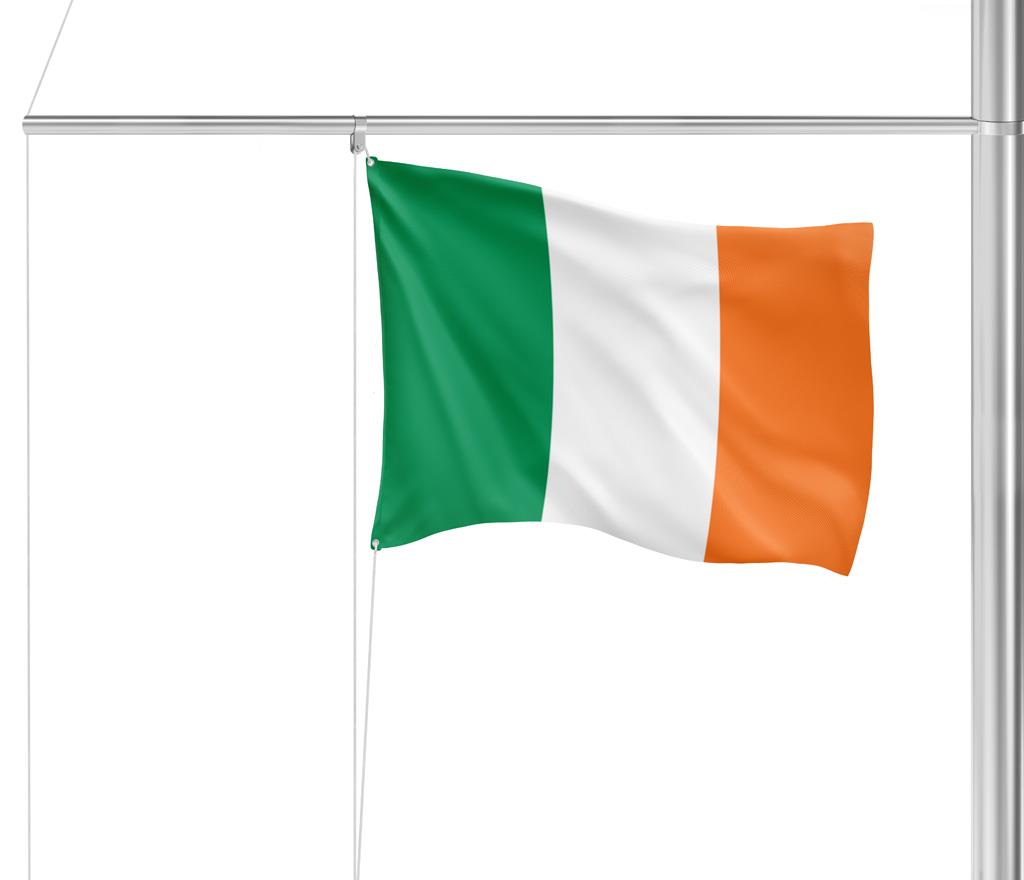 Gastlandflagge Irland 20X30cm