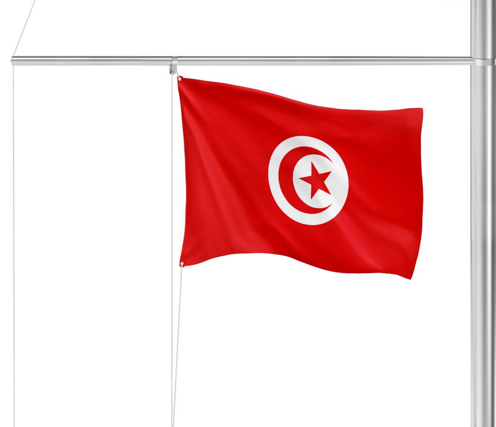 Gastlandflagge Tunesien 20X30cm