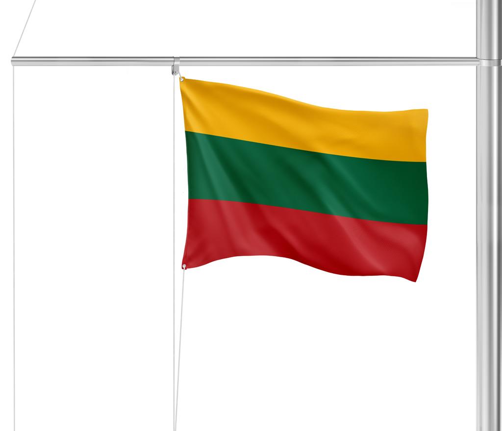 Gastlandflagge Litauen 20X30cm