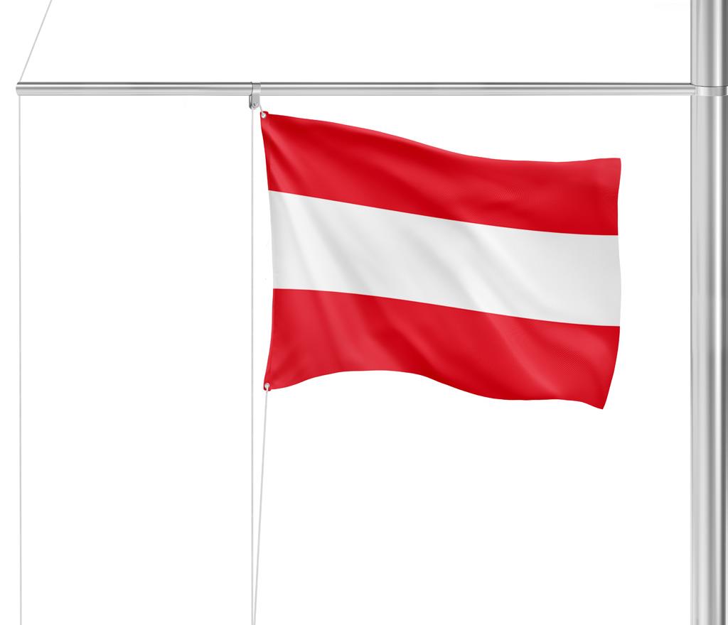 Gastlandflagge Österreich 20X30cm