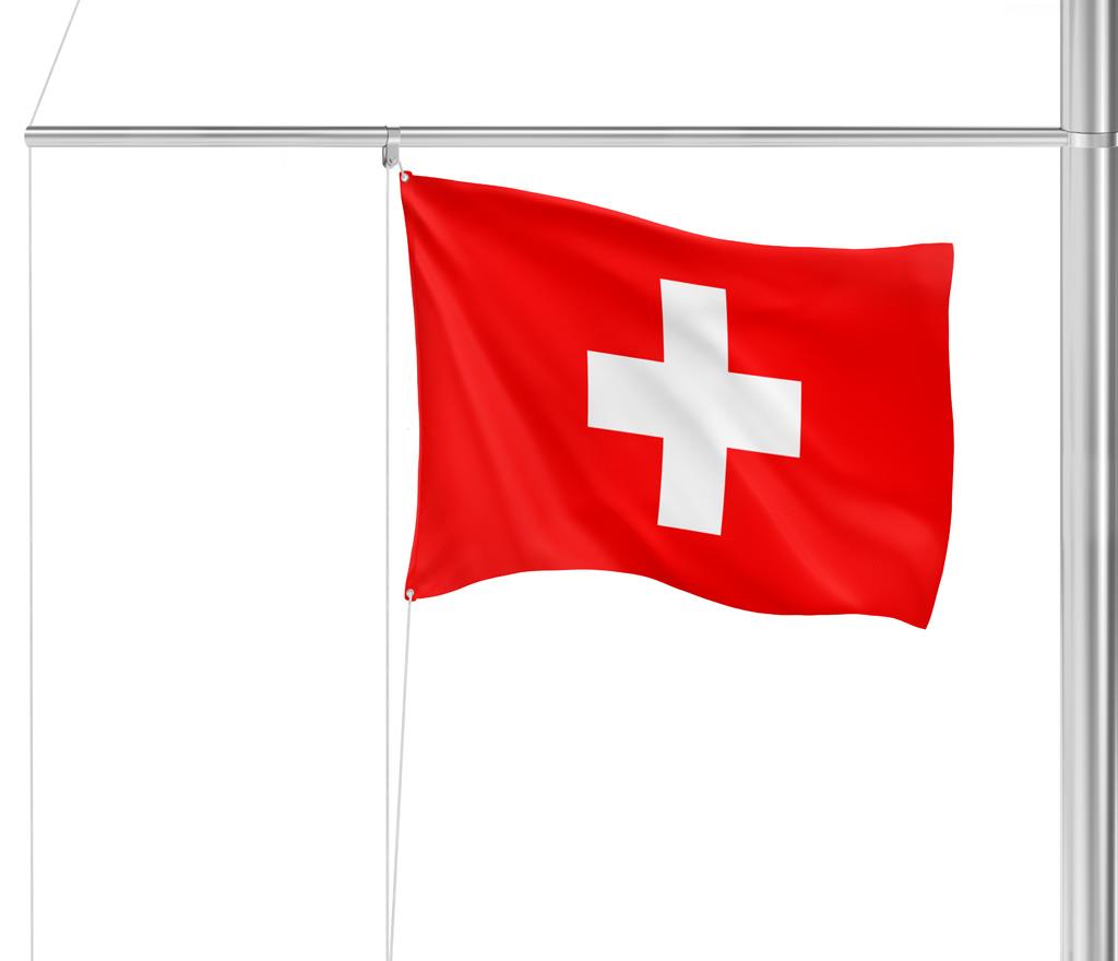 Gastlandflagge Schweiz 20X30cm