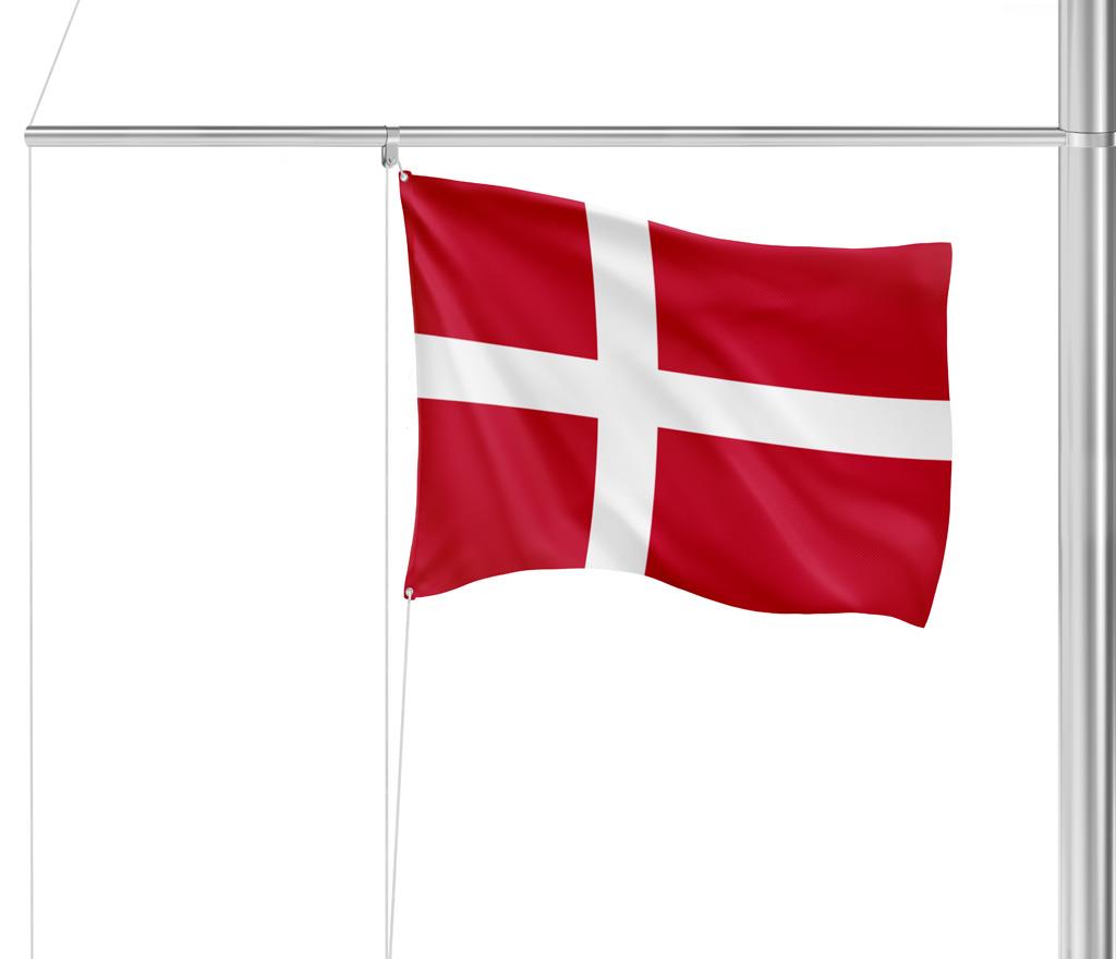 Gastlandflagge Dänemark 30X45cm