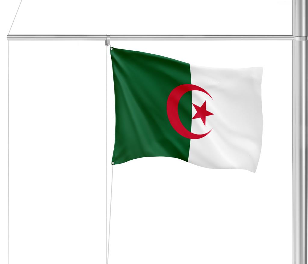 Gastlandflagge Algerien 20X30cm - Glanzpolyester -