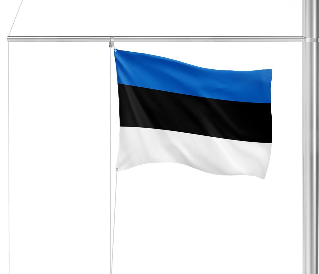 Gastlandflagge Estland 20X30cm
