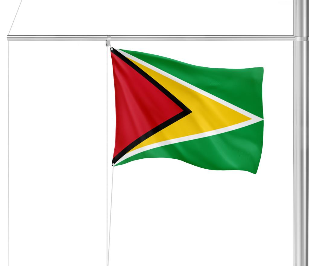 Gastlandflagge Guyana 20x30cm - Glanzpolyester -