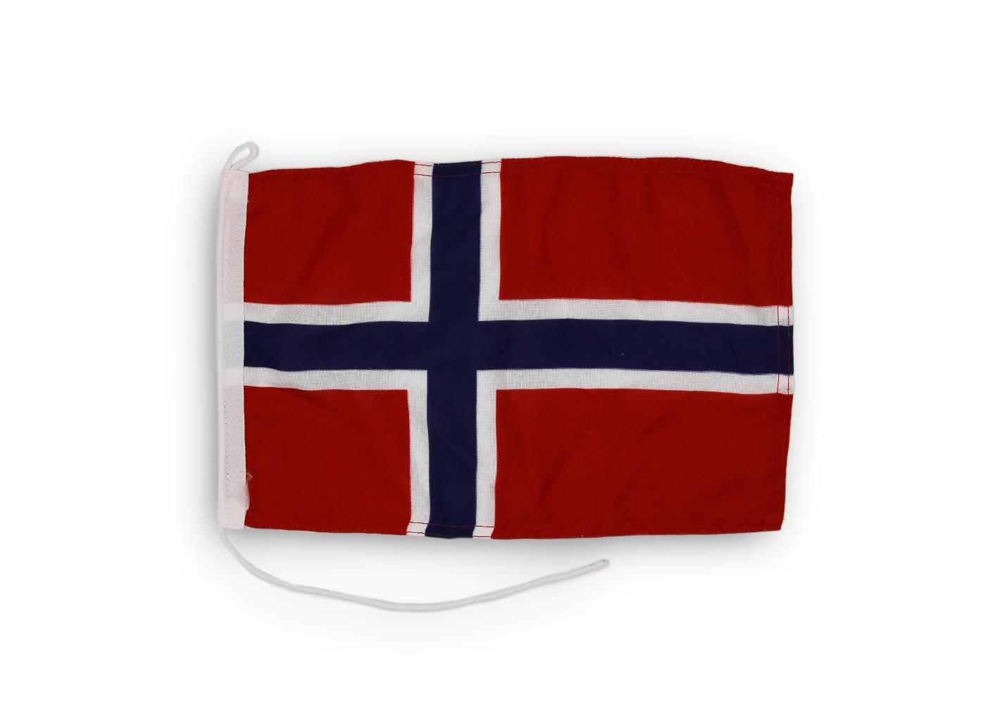 Gastlandflagge Norwegen 30X45cm