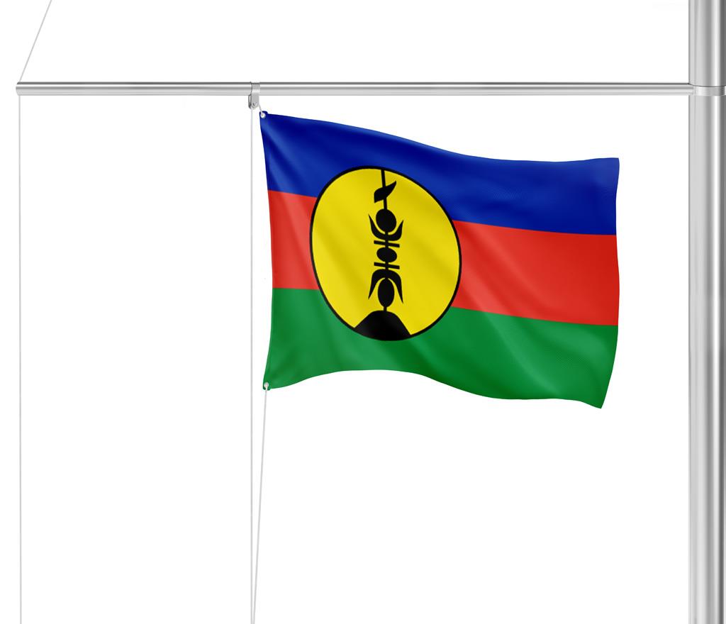 Gastlandflagge Neukaledonien 20x30cm