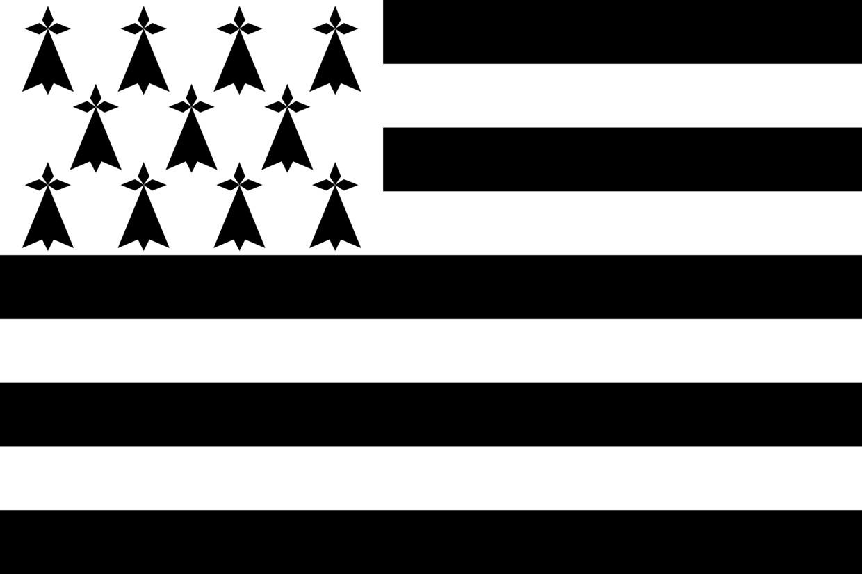 Gastlandflagge Bretagne 20X30cm