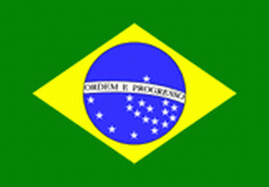 Gastlandflagge Brasilien 30X45cm